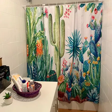 La Casa Cactus Conil De La Frontera